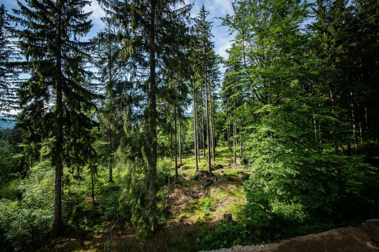 Villa Obis Schreiberhau Exterior foto